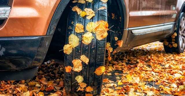 Roll Into The Change Of Seasons With Renewed Confidence